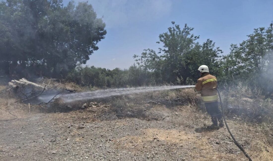 Hassa ilçesindeki otluk alanda çıkan yangın, itfaiye ekiplerinin hızlı müdahalesiyle