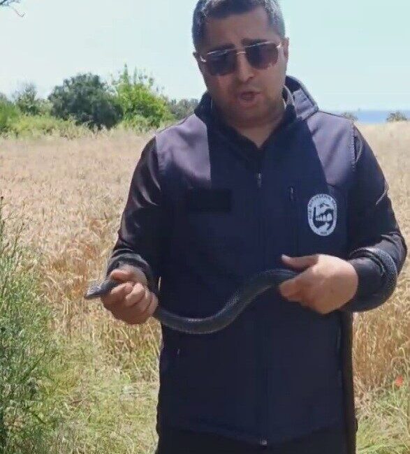 Hatay’da meşhur ‘Yılancı Kemal’ lakaplı Kemal Başer, bir yaşlı teyzenin