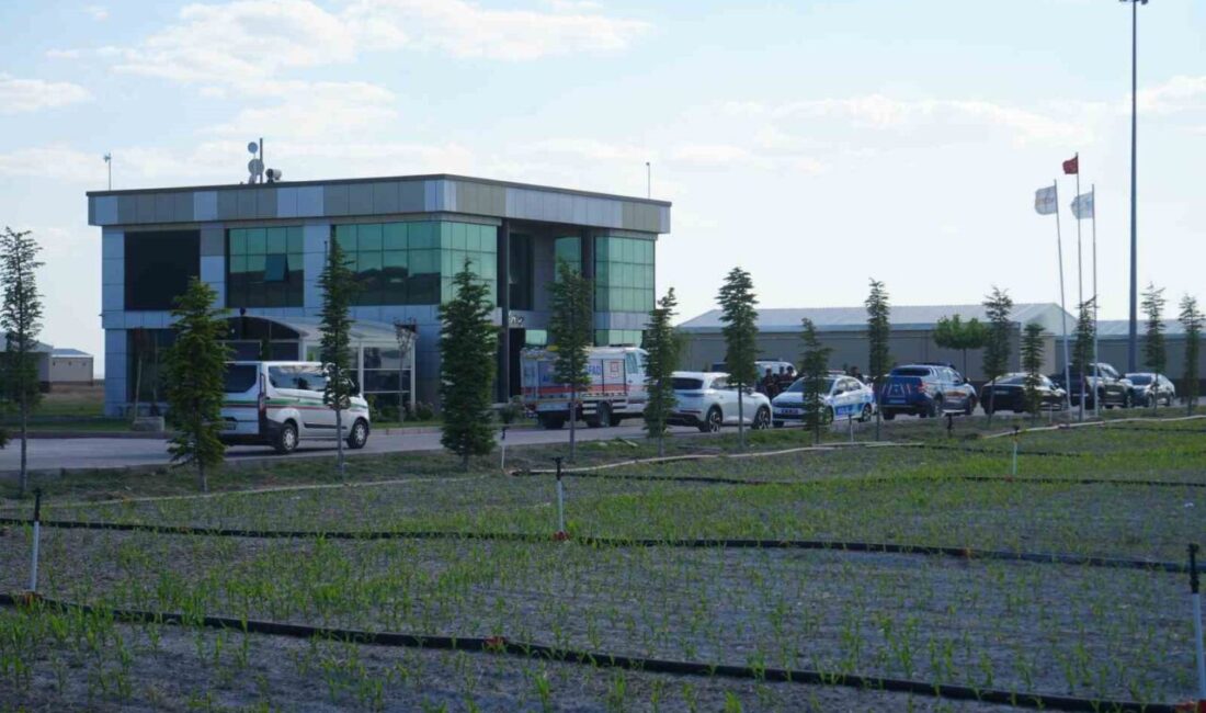 Niğde’nin Bor ilçesine bağlı Kemerhisar beldesinde faaliyet gösteren bir havai