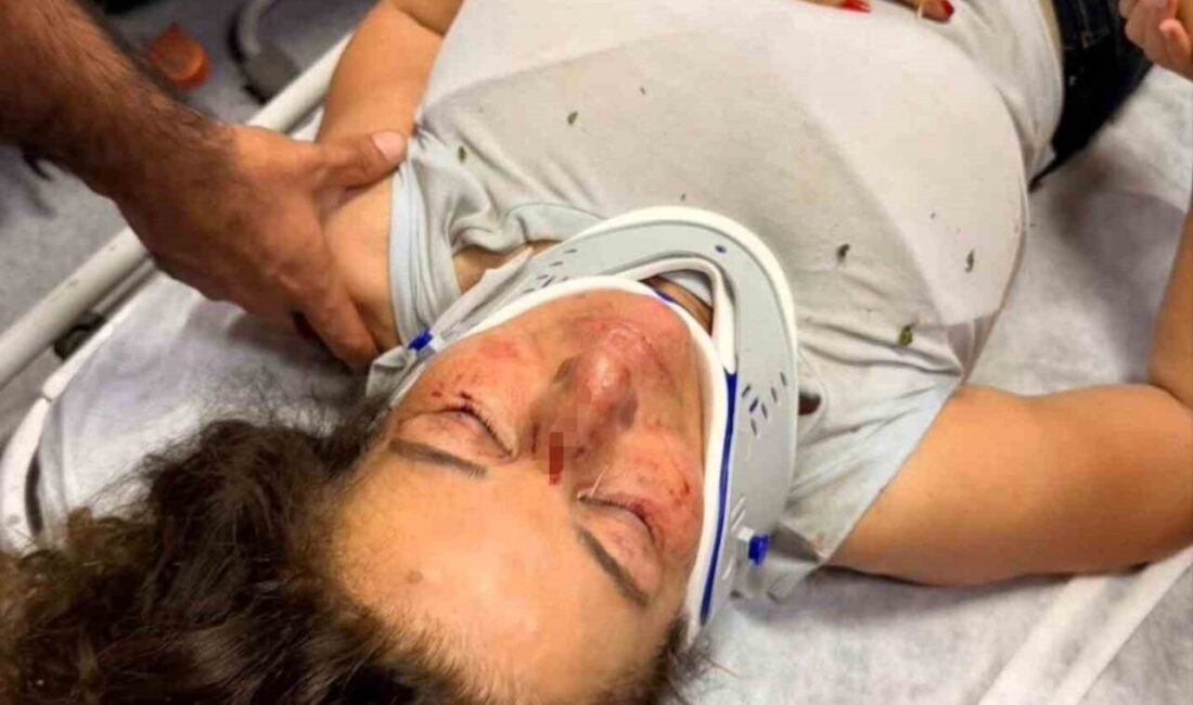 İzmir’in Selçuk ilçesinde, sokak hayvanlarına yönelik çalışmalarıyla tanınan eczacı Beray
