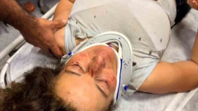 İzmir’in Selçuk ilçesinde, sokak hayvanlarına yönelik çalışmalarıyla tanınan eczacı Beray