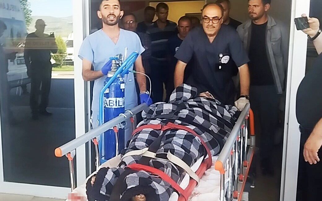 Sivas’ın Suşehri ilçesinde bir hayvan sahibine ayı saldırdı, ancak Kangal