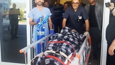 Sivas’ın Suşehri ilçesinde bir hayvan sahibine ayı saldırdı, ancak Kangal