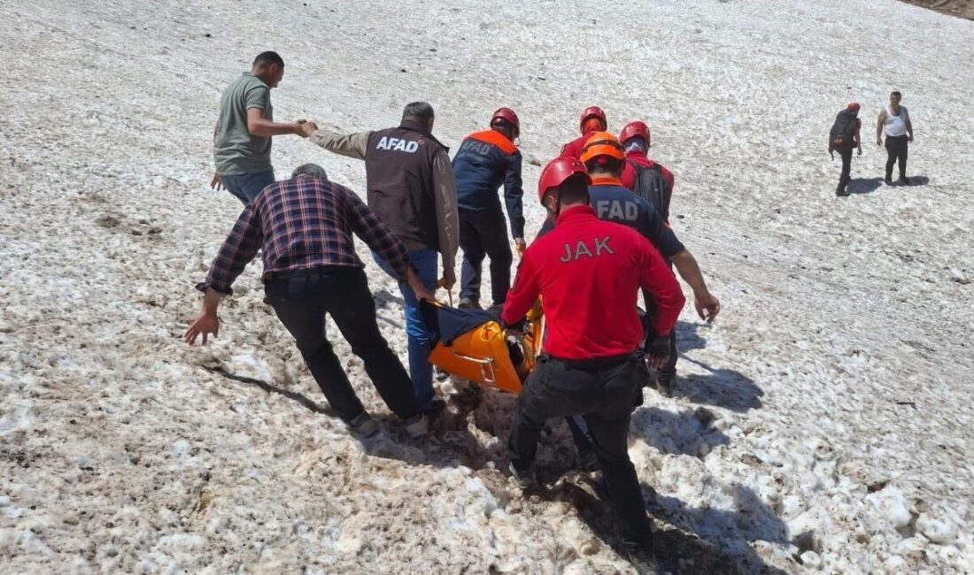 Hakkâri ilinde meydana gelen olayda, bir kişi pancar toplamak için