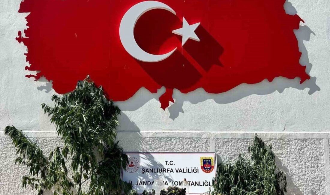 Hilvan ilçesinde gerçekleştirilen bir uyuşturucu operasyonunda 1 şüpheli tutuklandı. Şanlıurfa