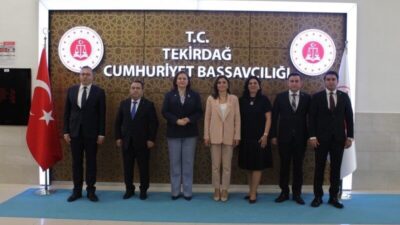 Havvanur Yurtsever, Hakimler ve Savcılar Kurulu (HSK) 1. Daire Üyesi