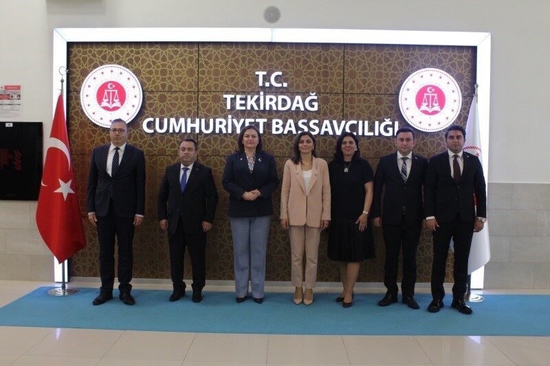 Havvanur Yurtsever, Hakimler ve Savcılar Kurulu (HSK) 1. Daire Üyesi