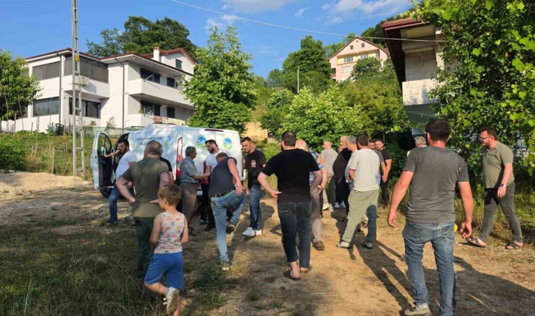 Sakarya’nın Akyazı ilçesinde, 68 yaşındaki bir kişi ıhlamur toplamak için