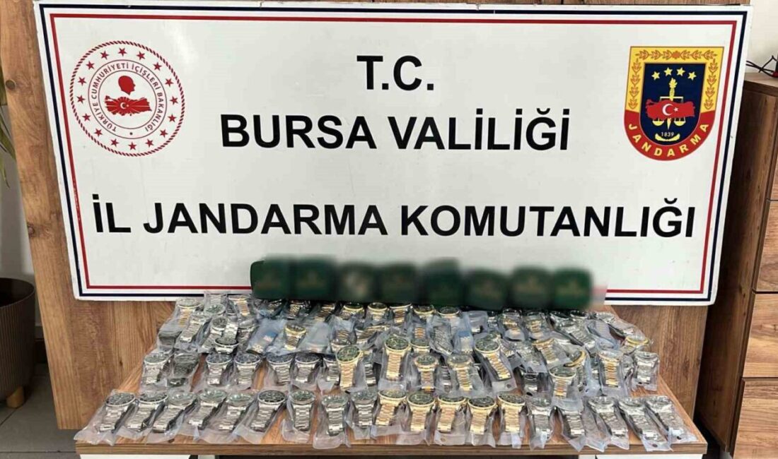 Bursa’nın İnegöl ilçesinde jandarma ekipleri tarafından düzenlenen operasyonda, piyasa değeri