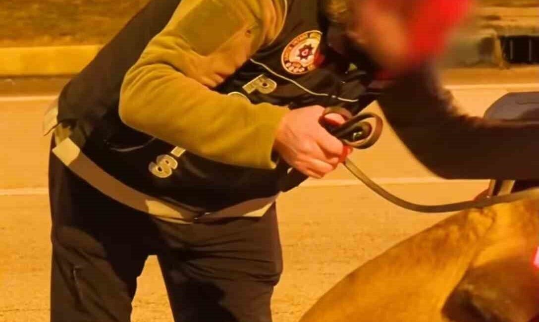 Isparta İl Emniyet Müdürlüğü Narkotik Suçlarla Mücadele Şube Müdürlüğü ekipleri,