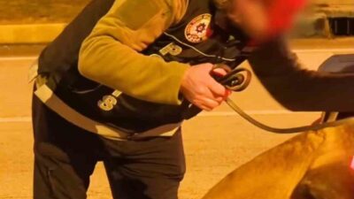 Isparta İl Emniyet Müdürlüğü Narkotik Suçlarla Mücadele Şube Müdürlüğü ekipleri,