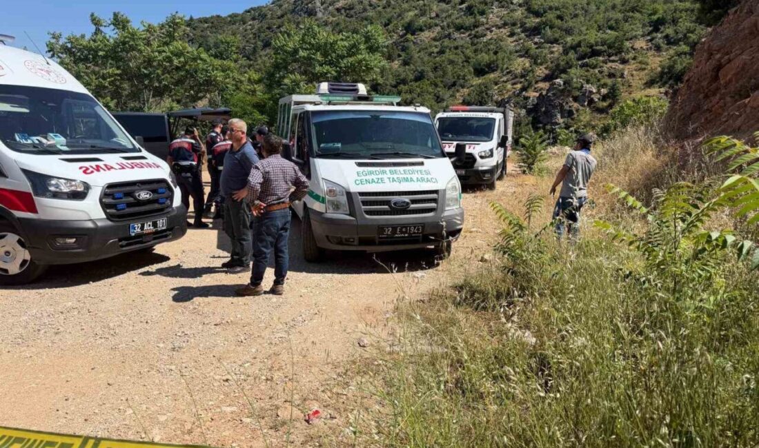 Isparta’nın Eğirdir ilçesine bağlı Akpınar köyü yol kavşağında terkedilmiş halde