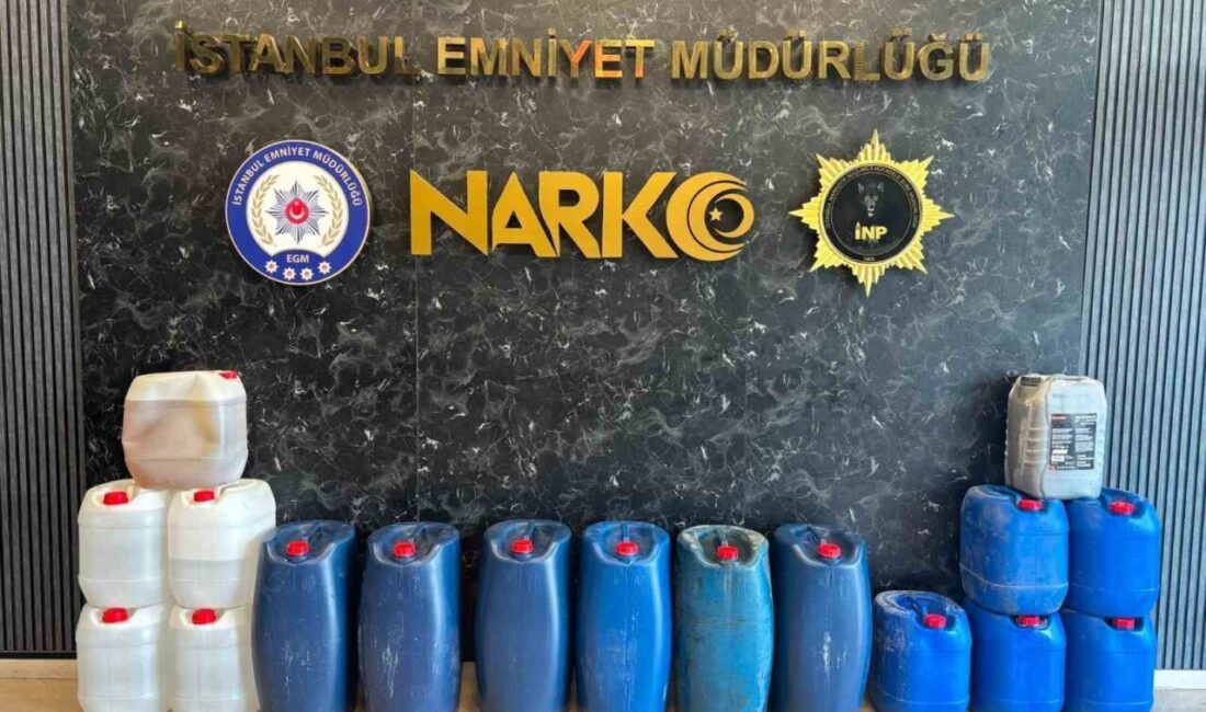 İstanbul Emniyet Müdürlüğü Narkotik Suçlarla Mücadele Şube Müdürlüğü ekipleri, Bayrampaşa