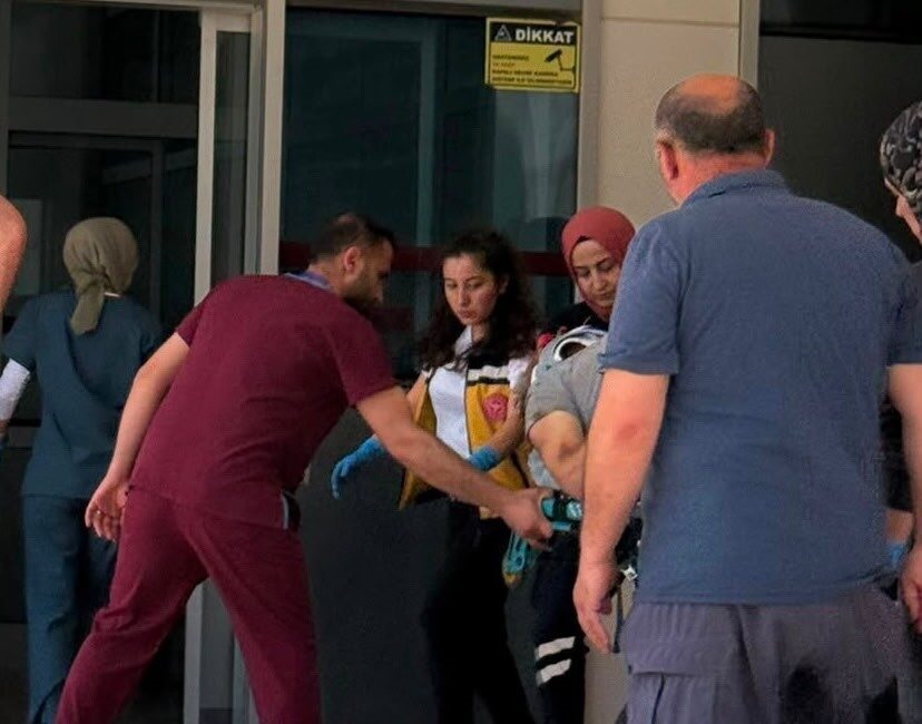 Bursa’nın Orhangazi ilçesine bağlı Paşapınar Mahallesi’nde bir çiftlikte çalışırken istinat