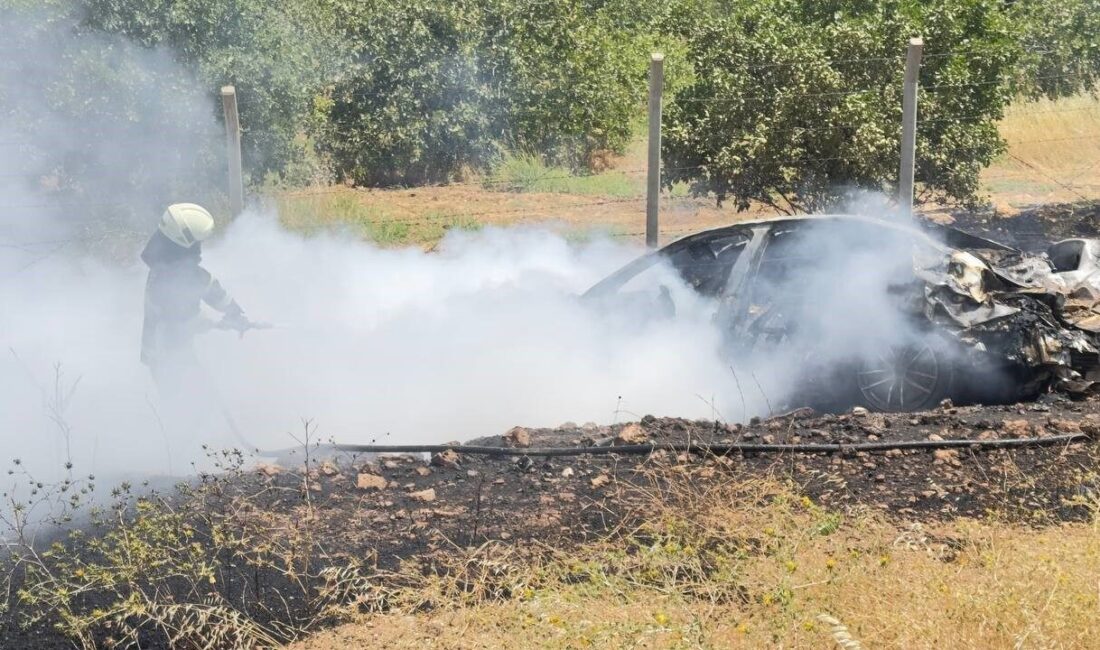 Şanlıurfa’da meydana gelen bir trafik kazasında, şarampole devrilen ve alev
