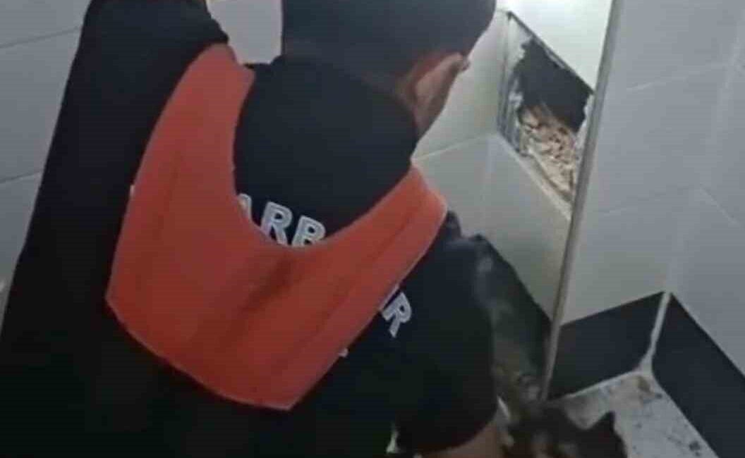 Diyarbakır’ın Kayapınar ilçesinde, Diclekent Mahallesi’nde bulunan bir sitede, havalandırma boşluğuna