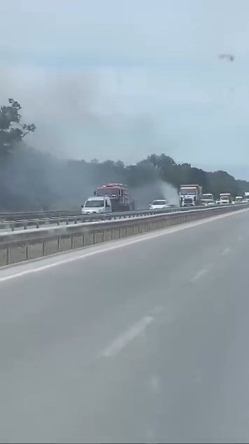 Bursa’nın Karacabey ilçesindeki TİGEM bölgesinde çıkan yangın, sıcak hava ve