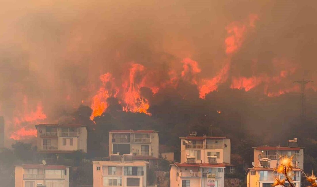 İzmir’in Dikili ilçesinde tarım arazisinde başlayan ve ormanlık alana yayılan