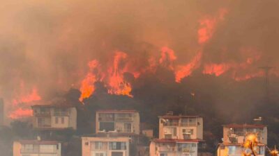 İzmir’in Dikili ilçesinde tarım arazisinde başlayan ve ormanlık alana yayılan
