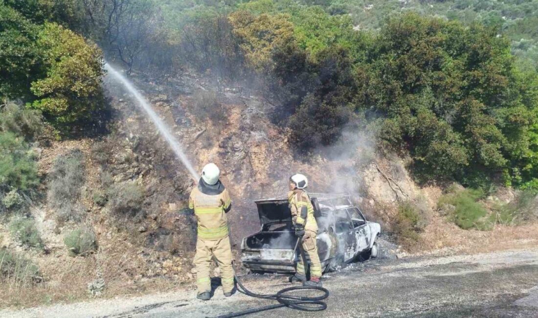 Karaburun ilçesinde meydana gelen olayda, seyir halindeki bir araçta çıkan