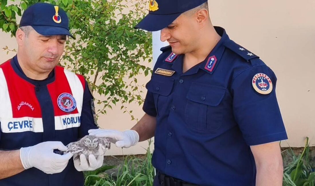 Yozgat İl Jandarma Komutanlığı Çevre, Doğa ve Hayvanları Koruma Timi,