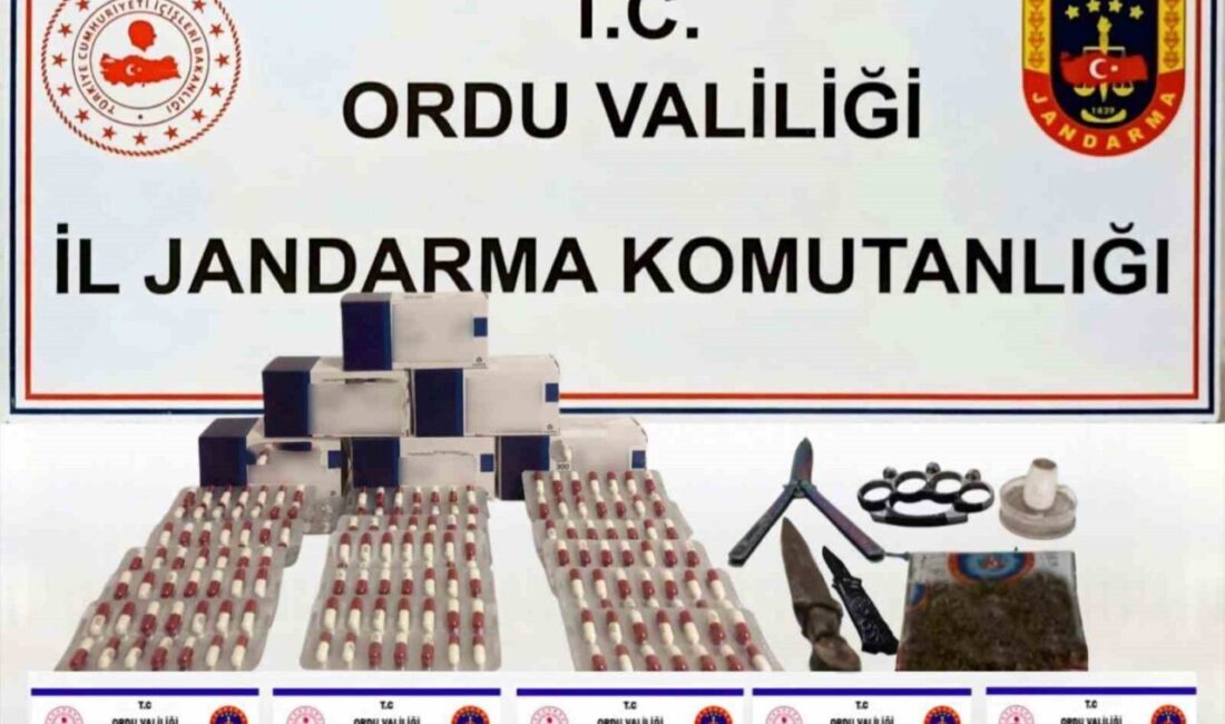 Ordu İl Jandarma Komutanlığı tarafından gerçekleştirilen operasyonda, uyuşturucu ve uyarıcı