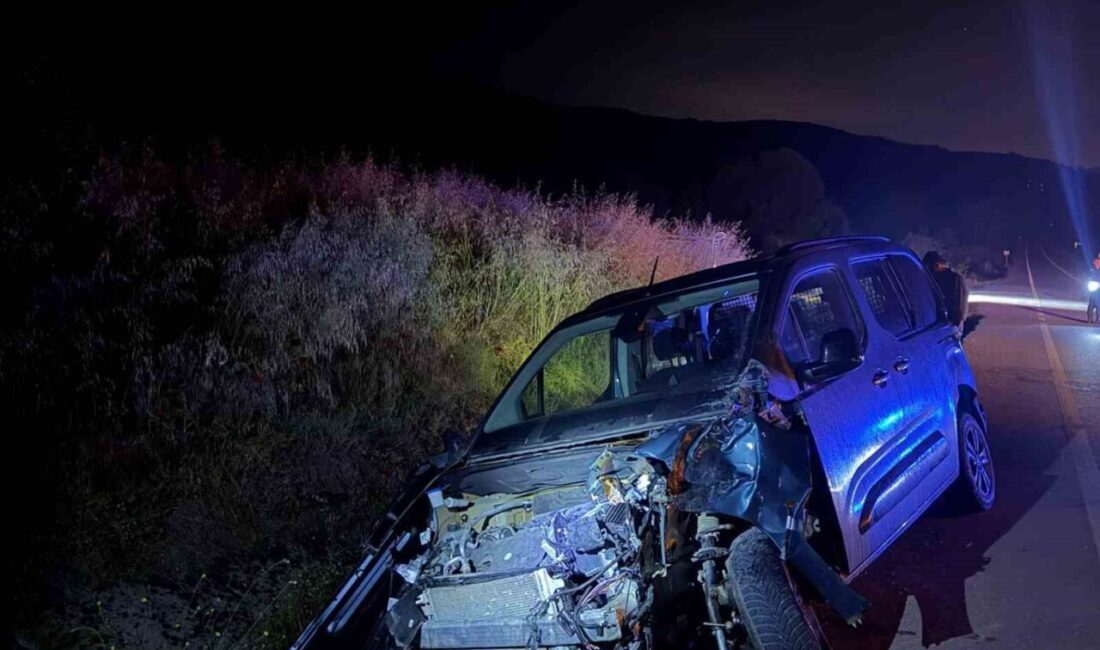 Bilecik ilinde, bir otomobilin kavşağı kaçırıp tekrar girmeye çalışırken bir