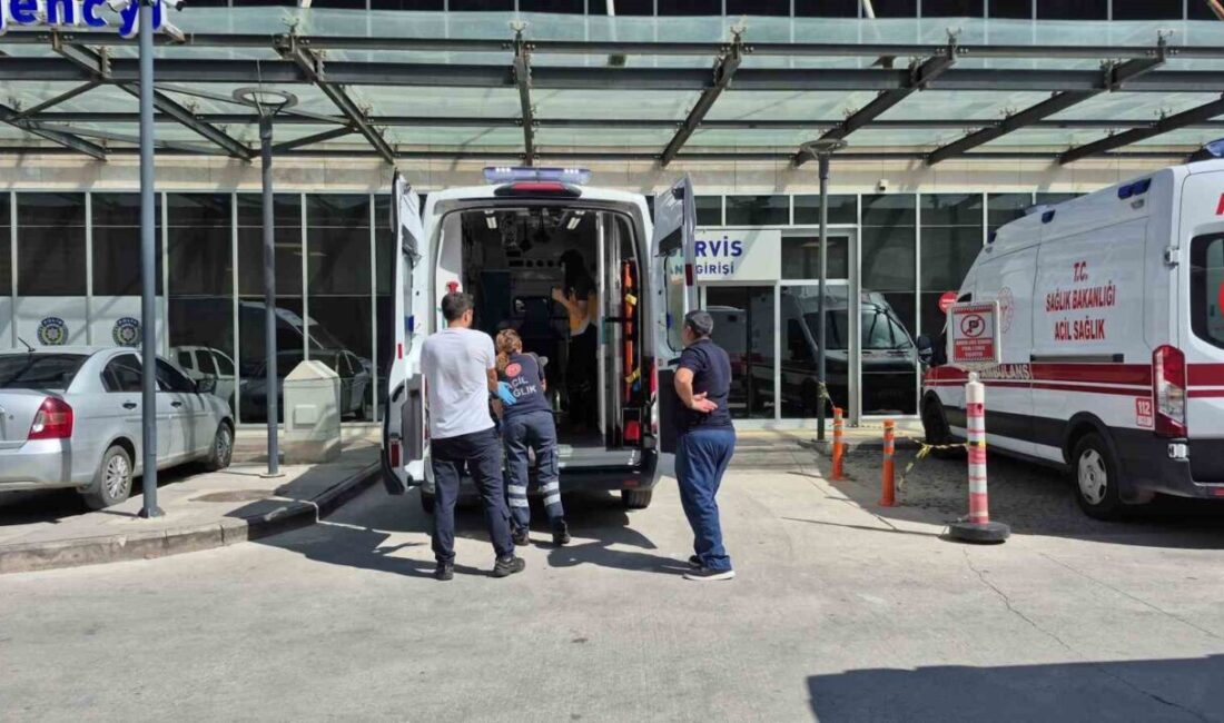 Muğla’nın Bodrum ilçesinde meydana gelen trafik kazasında 2 araç çarpıştı