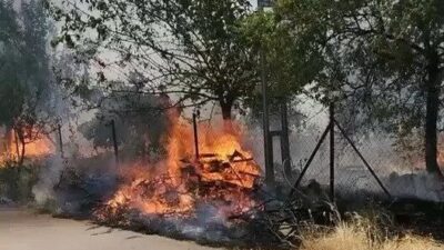 Adıyaman’da Karadağ Ormanı’nda meydana gelen yangın paniğe neden oldu. Adıyaman