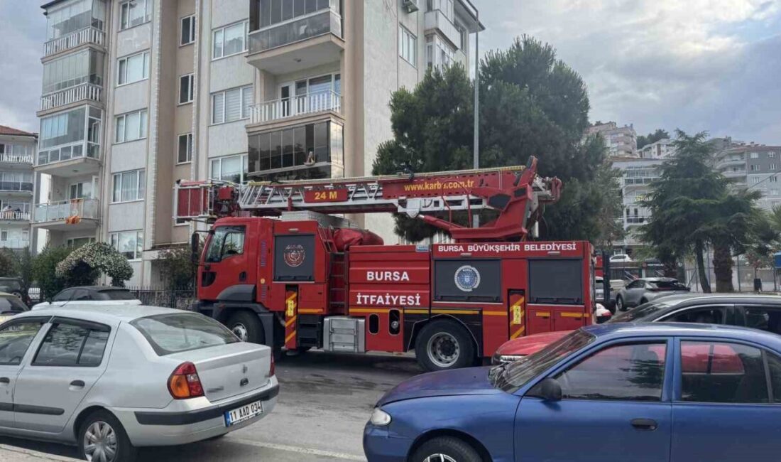 Mudanya’nın Ömerbey Mahallesi Muhtarlığı önünde bir ağaca sıkışan bir karganın