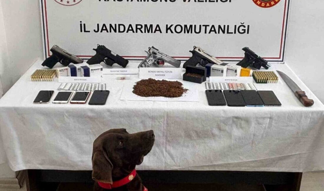 Kastamonu’da yapılan operasyonlarda, polis ekipleri tarafından gözaltına alınan 9 şüpheliden