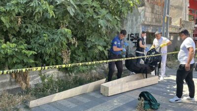 Sarıyer ilçesinde bir vatandaşın kaybolan kedisi için girdiği binada erkek