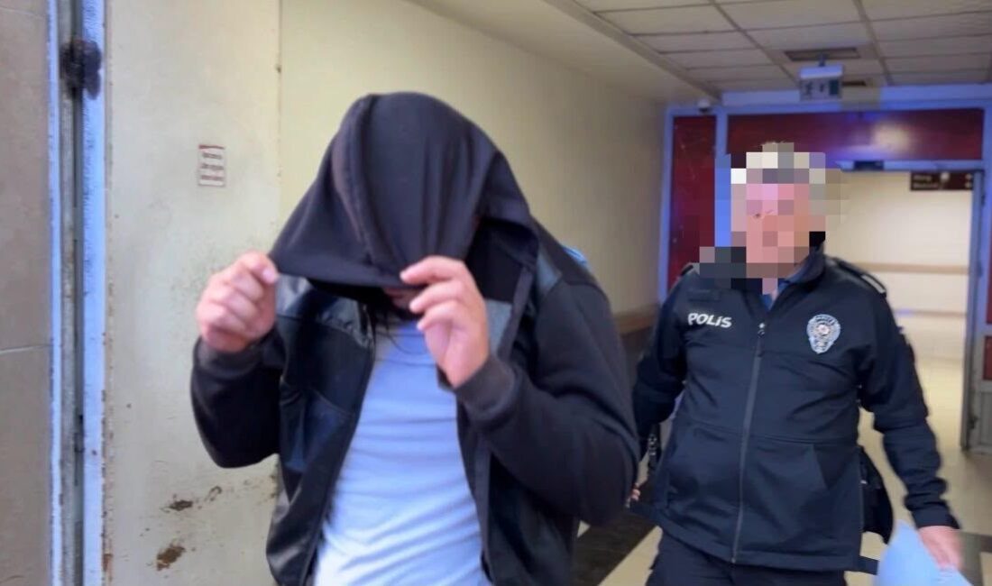 Melikgazi ilçesinde meydana gelen ve bir yayının hayatını kaybetmesine neden