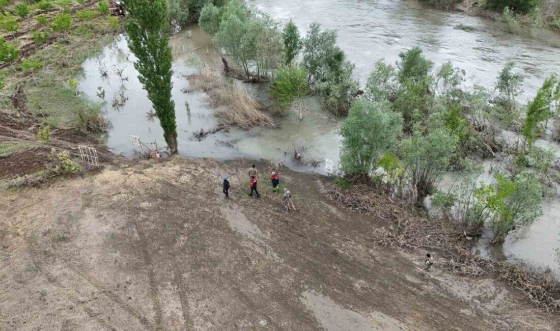 Sivas’ın Koyulhisar ilçesinde meydana gelen trafik kazasının ardından iddia edilen,