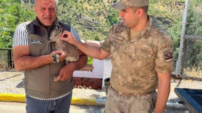 Kemaliye ilçesinde devriye gezen kolluk kuvvetleri, yolun kenarında bitkin halde
