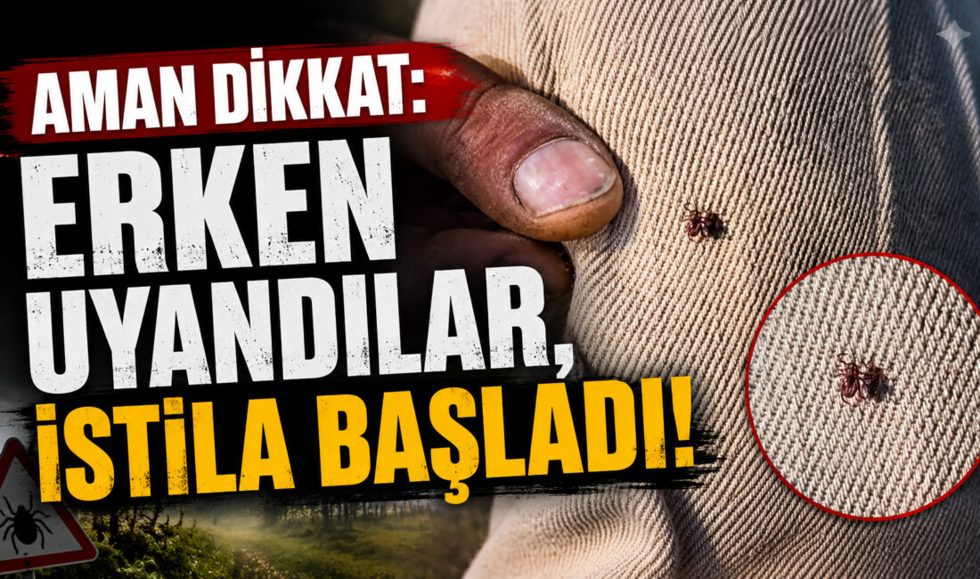 Hava sıcaklıklarının mevsim normallerinin üzerine çıkmasıyla birlikte, Yozgat ve çevresinde