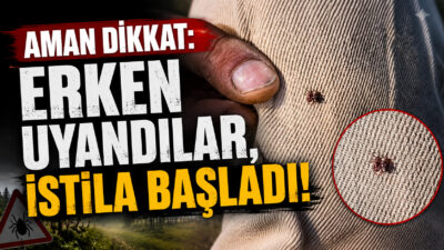 Hava sıcaklıklarının mevsim normallerinin üzerine çıkmasıyla birlikte, Yozgat ve çevresinde