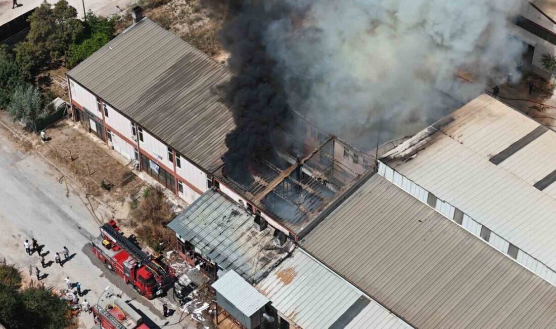 Eskişehir’deki bir kereste fabrikasında çıkan ve hızla yayılan yangına itfaiye
