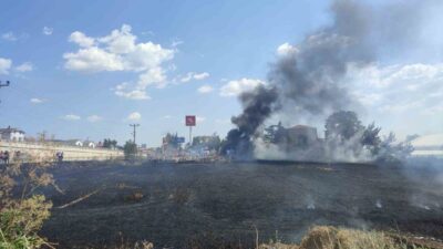 Keşan ilçesinde bir akaryakıt istasyonuna bitişik 37 dönümlük buğday tarlasında