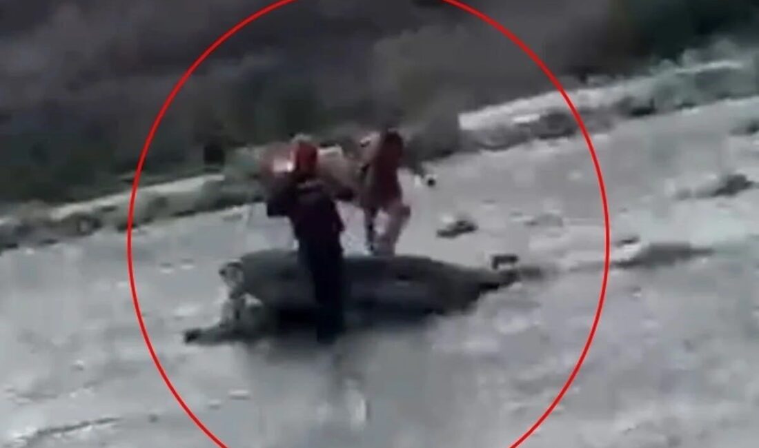 Siirt’te Kezer Çayı’nın su seviyesinin ani yükselmesi sonucu kayalık alanda