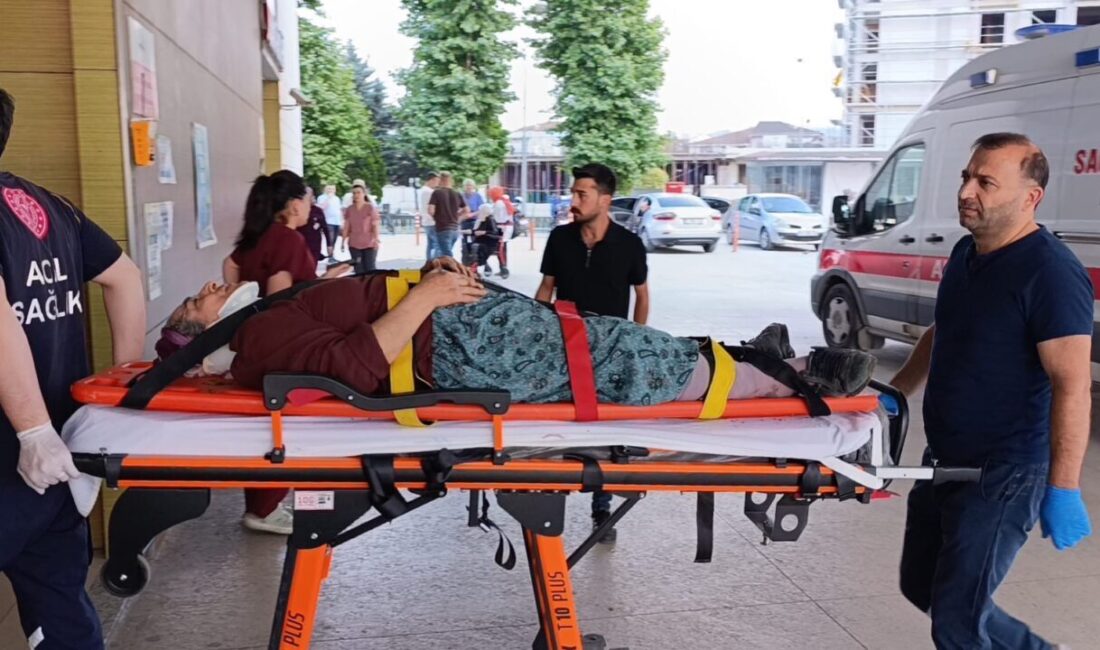 Bursa’nın İnegöl ilçesinde, bir kadın kiraz toplamak için çıktığı ağaçtan