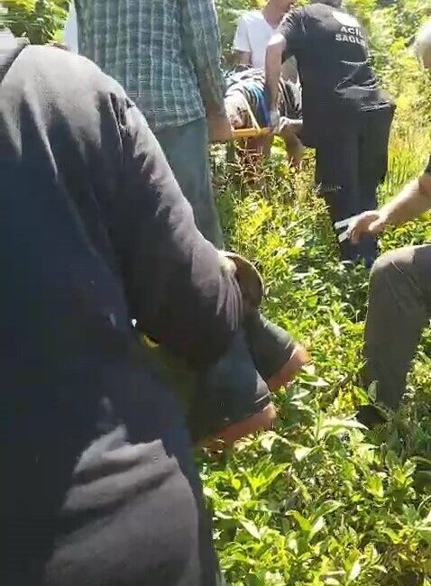 Rize’nin Pazar ilçesinde bir kişi, kiraz toplamak için çıktığı ağaçta