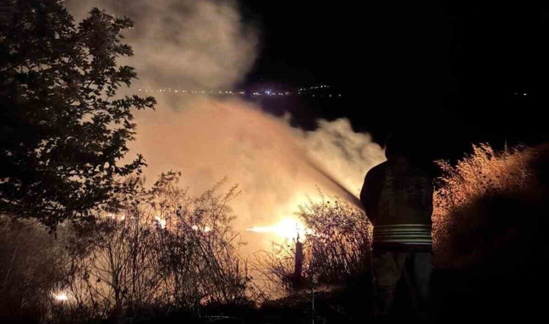Hatay’ın Kırıkhan ilçesindeki bozkır alanında çıkan yangın, Hatay Büyükşehir Belediyesi
