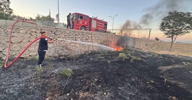 Kırıkhan ilçesindeki zeytinlik alanda çıkan yangın, sağlanan hızlı müdahale sayesinde