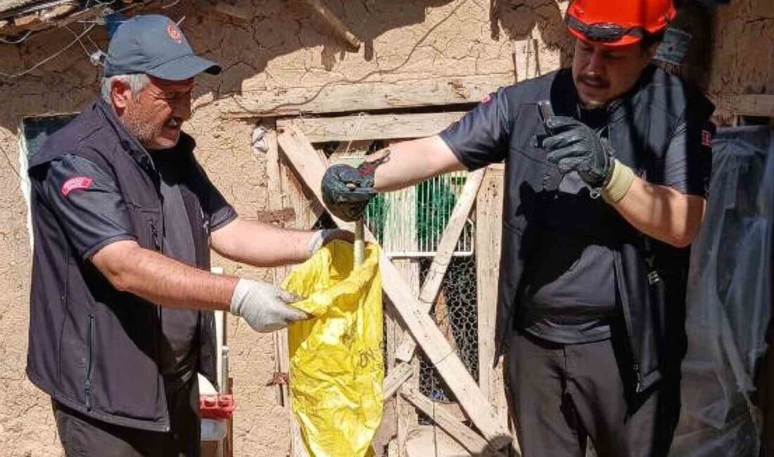 Kırıkkale’nin Yuva Mahallesi’nde yaşanan olayda, bir yılanın kümese girmesi sonucu