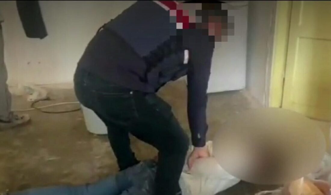 Kırşehir İl Jandarma Komutanlığı tarafından gerçekleştirilen operasyonda, DEAŞ terör örgütünün
