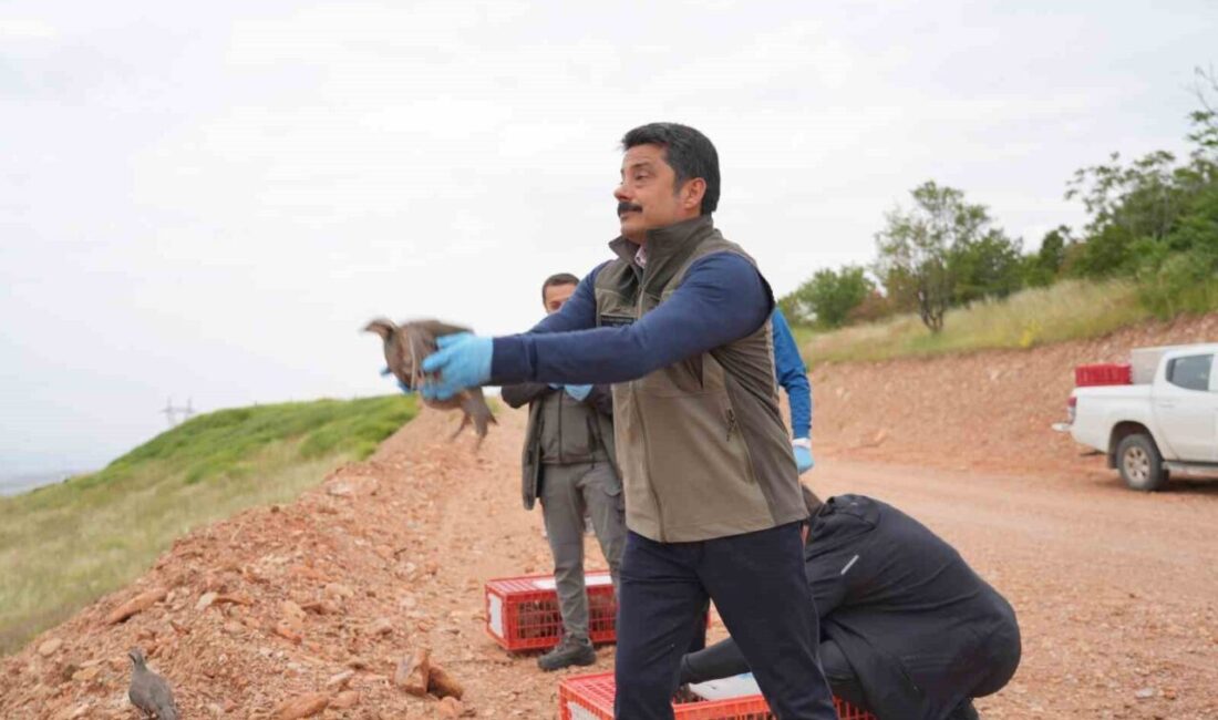Kırşehir’de, Doğa Koruma ve Milli Parklar Genel Müdürlüğü tarafından gerçekleştirilen