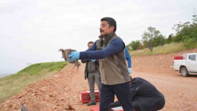Kırşehir’de, Doğa Koruma ve Milli Parklar Genel Müdürlüğü tarafından gerçekleştirilen