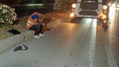 Manavgat ilçesinde meydana gelen zincirleme trafik kazasında 44 yaşındaki Ahmet