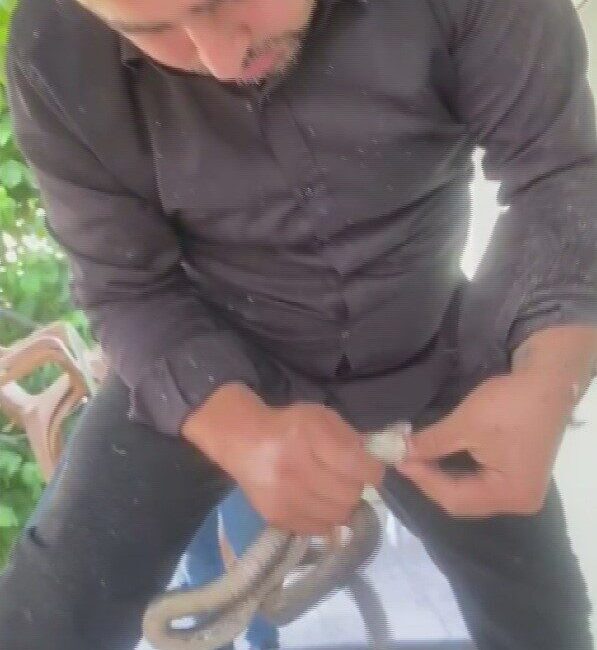Hatay’da “Yılancı Kemal” olarak bilinen Kemal Başer, bir evin klima